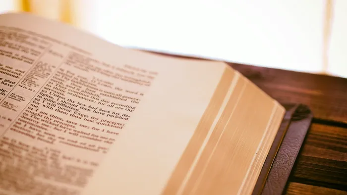 Services provided by DBA Law